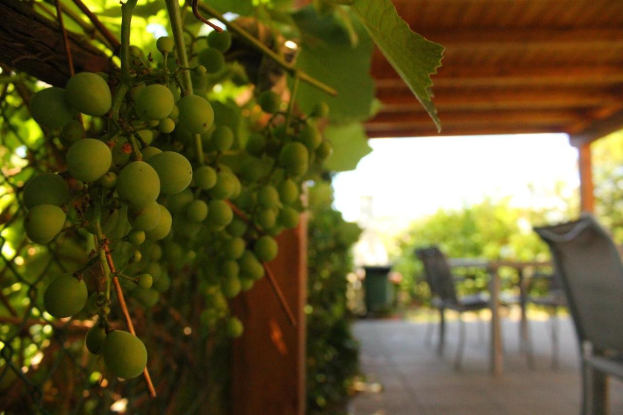 Il Casolare Bed and Breakfast Penna Εξωτερικό φωτογραφία