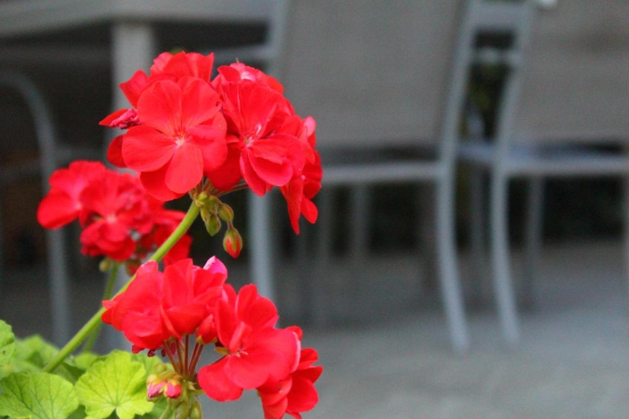 Il Casolare Bed and Breakfast Penna Εξωτερικό φωτογραφία